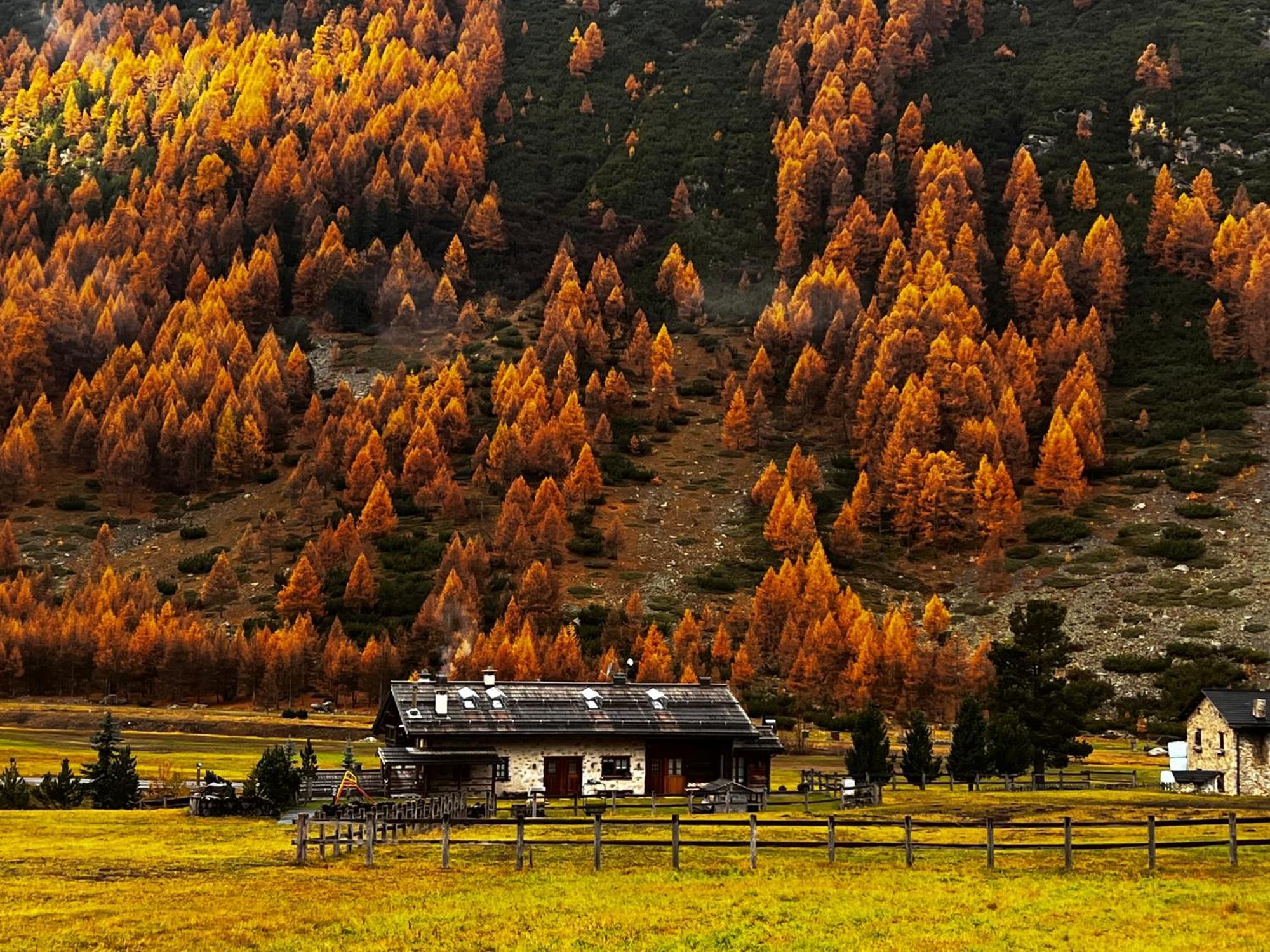 Baita Pomo Livigno Luaran gambar